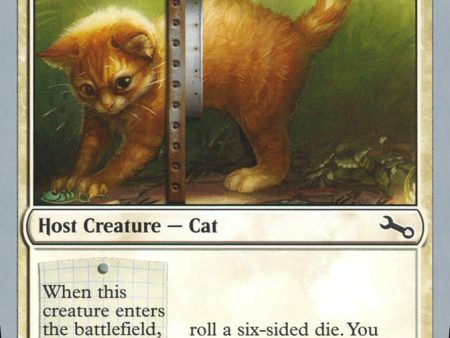 Adorable Kitten [Unstable] Online Hot Sale