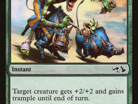 Wildsize (Elves vs. Goblins) [Duel Decks Anthology] on Sale