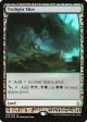 Twilight Mire [Zendikar Expeditions] Online